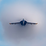 Media Gallery | 2024 Season