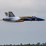 Media Gallery | 2024 Season