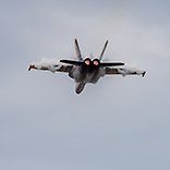 Media Gallery | 2024 Season